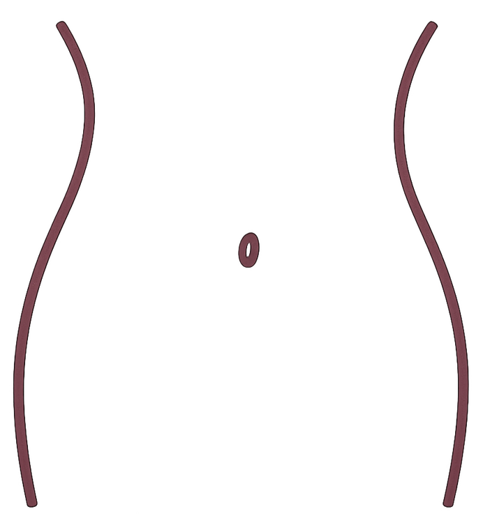 Gut Line drawing of a woman's stomach